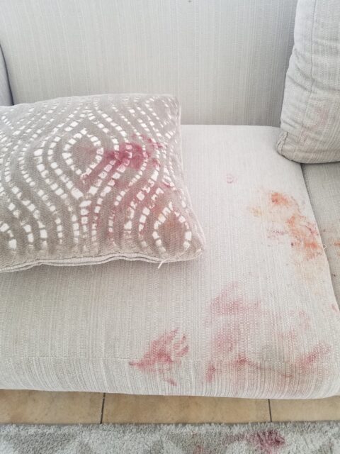 image of dirty couch for sonshine carpet cleaning